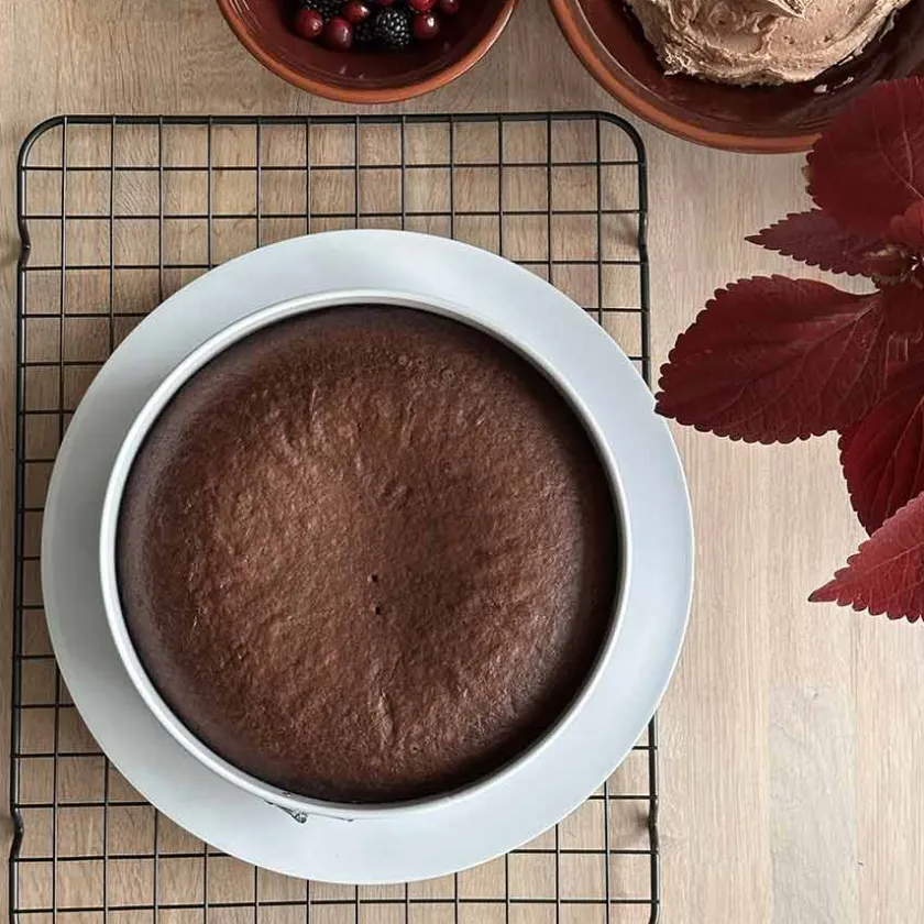 PORSGRUNDS PORSELÆNSFABRIK Bake It Easy Kakefat i Karbonstål Best