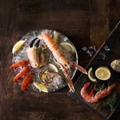 FUNKTION Skalldyrstativ Discount