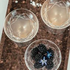 HADELAND GLASSVERK Finn Champagneskål 18cl Online