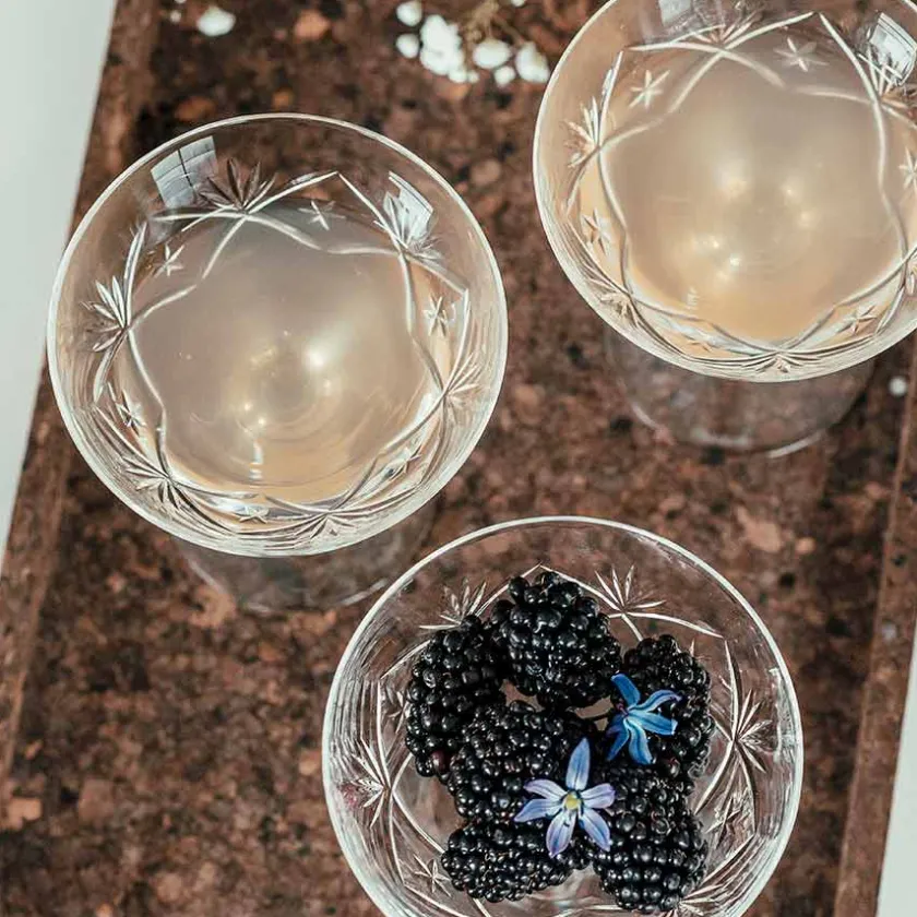 HADELAND GLASSVERK Finn Champagneskål 18cl Online