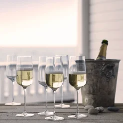 HOLMEGAARD BOUQUET 29CL CHAMPAGNEGLASS New