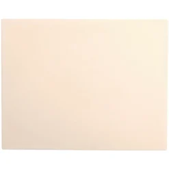 SEASONS Pizzasten for Grill 38 X 30cm Best