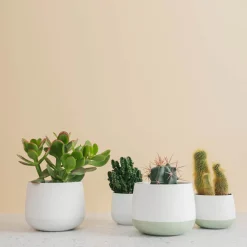 PORSGRUNDS PORSELÆNSFABRIK Porsgrunds Porselænsfabrik Nordic Light Lyslykt 10cm Hvit Sale