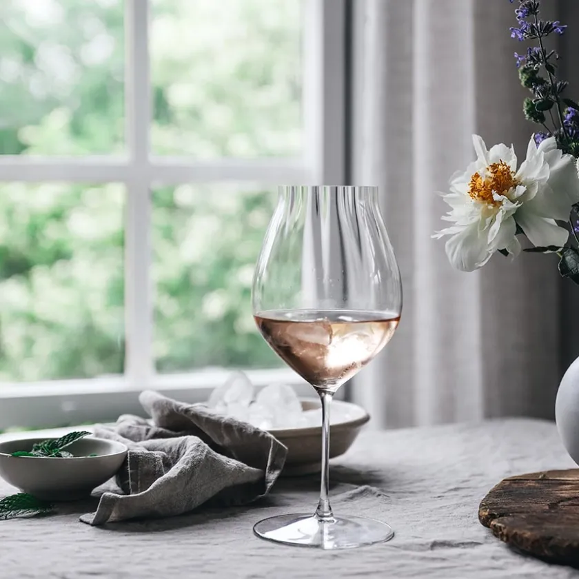 RIEDEL Performance Pinot Noir 2pk Best