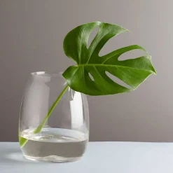 HADELAND GLASSVERK VASE 200MM KLAR Online